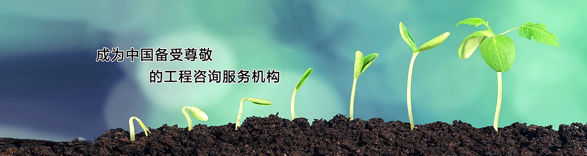 港澳台宝典